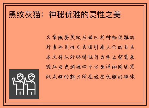 黑纹灰猫：神秘优雅的灵性之美
